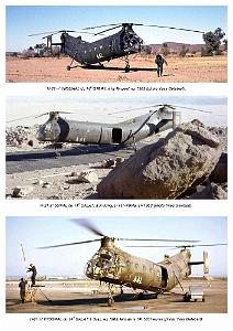610 VERTOL H-21C BANANE VOLANTE 4-5 (14)
